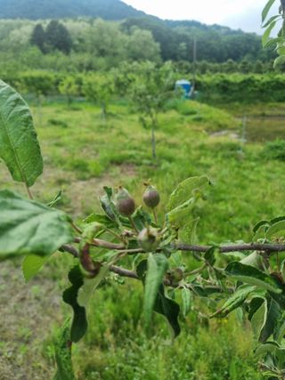 강은님의 자유주제 · 자유게시판 작성글 사진
