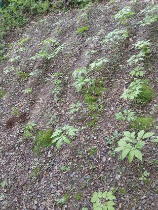 인생은 소풍처럼님의 자유주제 · 자유게시판 작성글 사진