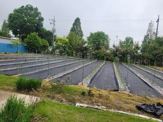 찬균park님의 자유주제 · 자유게시판 작성글 사진