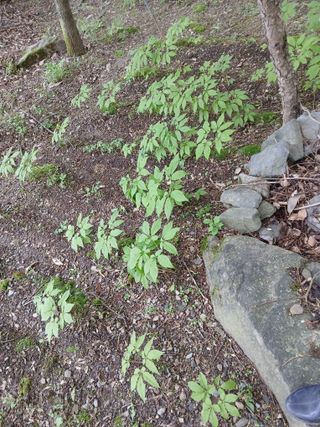 인생은 소풍처럼님의 자유주제 · 자유게시판 작성글 사진