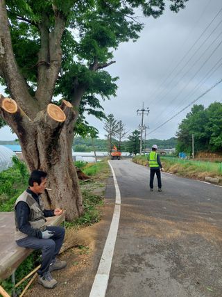 재연농장님의 자유주제 · 자유게시판 작성글 사진