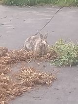 팜모닝 자유주제·자유게시판 게시글 이미지