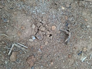 갑산 아리랑님의 농사, 무엇이든 물어보세요! · 참여글 작성글 사진