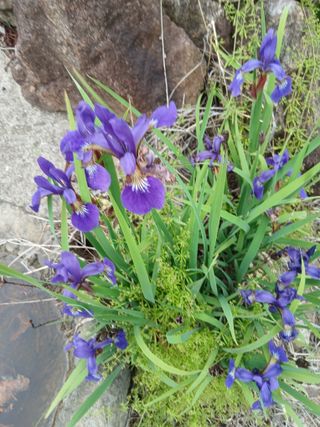 무료지식나눔 팜닥터님의 자유주제 · 사진전 작성글 사진