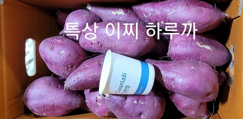사랑꽃농장님의 장터 판매 상품 [맛좋은 이찌 하루까 10kg] 첨부 사진