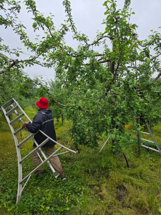 최승국님의 자유주제 · 자유게시판 작성글 사진