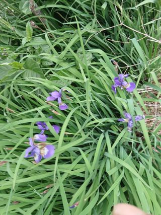 무료지식나눔 팜닥터님의 자유주제 · 사진전 작성글 사진