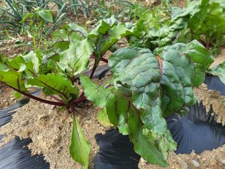 조상희님의 자유주제 · 자유게시판 작성글 사진