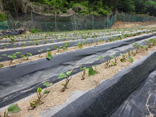 장두학님의 자유주제 · 자유게시판 작성글 사진