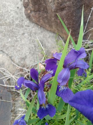 무료지식나눔 팜닥터님의 자유주제 · 사진전 작성글 사진