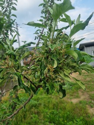 강은님의 자유주제 · 자유게시판 작성글 사진