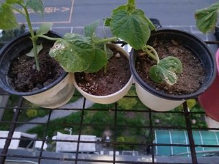 양용석님의 자유주제 · 자유게시판 작성글 사진