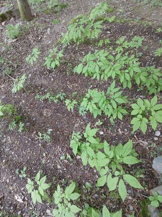 인생은 소풍처럼님의 자유주제 · 자유게시판 작성글 사진