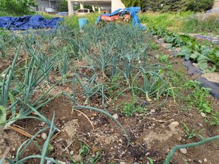 조상희님의 자유주제 · 자유게시판 작성글 사진