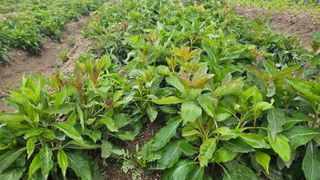 조병대님의 자유주제 · 자유게시판 작성글 사진