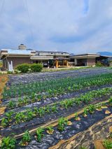 팜모닝 자유주제·자유게시판 게시글 이미지