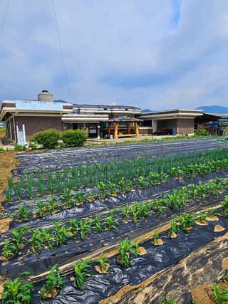 연승흠님의 자유주제 · 자유게시판 작성글 사진