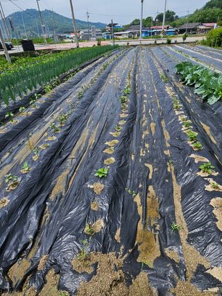 연승흠님의 자유주제 · 자유게시판 작성글 사진