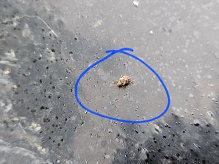 연모 자연의행복님의 농사, 무엇이든 물어보세요! · 참여글 작성글 사진