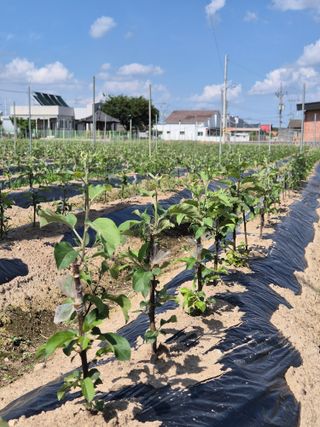 우리농원님의 자유주제 · 자유게시판 작성글 사진