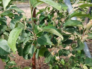 알 수 없음님의 자유주제 · 자유게시판 작성글 사진