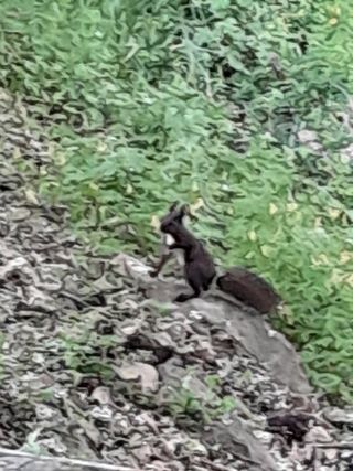 김민수산에서농사중님의 자유주제 · 자유게시판 작성글 사진