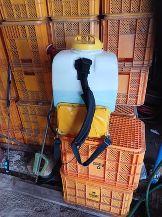 알 수 없음님의 자유주제 · 자유게시판 작성글 사진