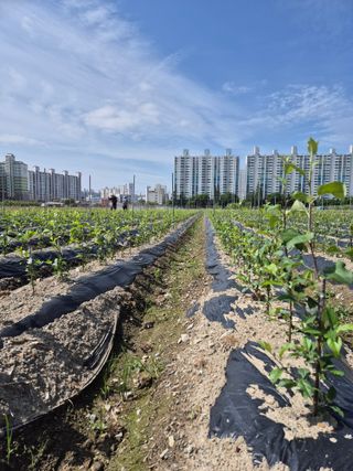 우리농원님의 자유주제 · 자유게시판 작성글 사진