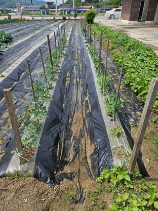 연승흠님의 자유주제 · 자유게시판 작성글 사진