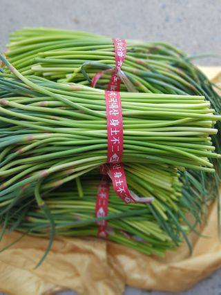 마늘 복숭아윤금자님의 작성글 사진