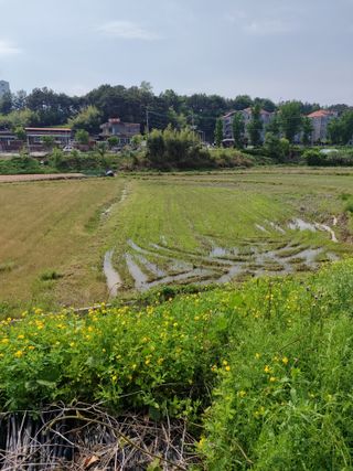 이건희님의 자유주제 · 자유게시판 작성글 사진