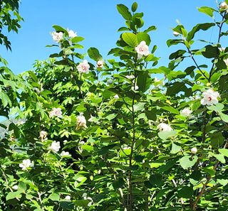 고추건조기부품판매님의 자유주제 · 자유게시판 작성글 사진