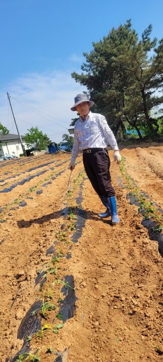 한성님의 자유주제 · 자유게시판 작성글 사진