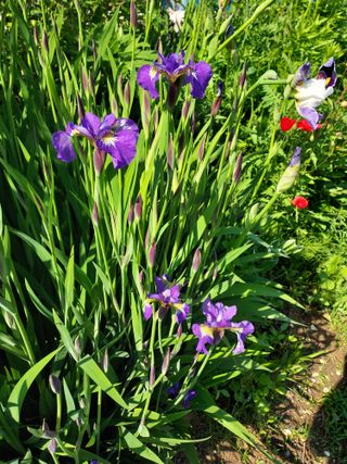 태일농산이정수님의 자유주제 · 자유게시판 작성글 사진