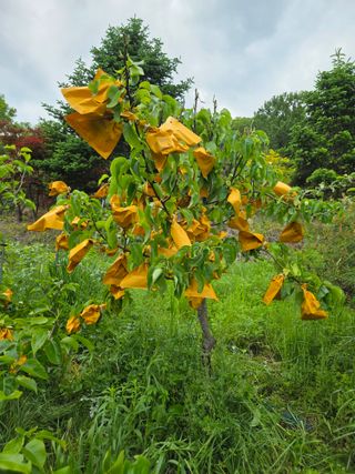 이원복님의 자유주제 · 사진전 작성글 사진