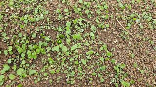 조병대님의 자유주제 · 자유게시판 작성글 사진