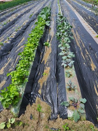 연승흠님의 자유주제 · 자유게시판 작성글 사진