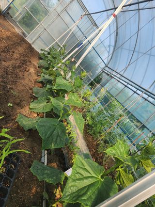 김영희님의 자유주제 · 자유게시판 작성글 사진