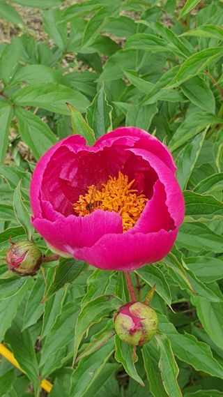 한밭농원님의 자유주제 · 자유게시판 작성글 사진