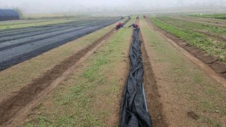 조병대님의 자유주제 · 자유게시판 작성글 사진