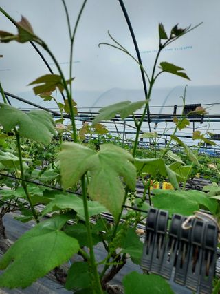 태일농산이정수님의 자유주제 · 자유게시판 작성글 사진