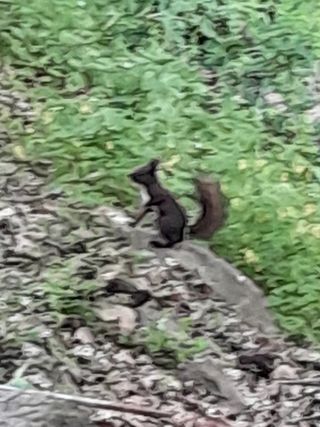 김민수산에서농사중님의 자유주제 · 자유게시판 작성글 사진