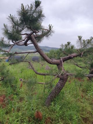 알 수 없음님의 자유주제 · 사진전 작성글 사진