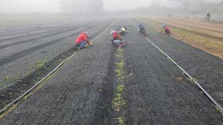 조병대님의 자유주제 · 자유게시판 작성글 사진