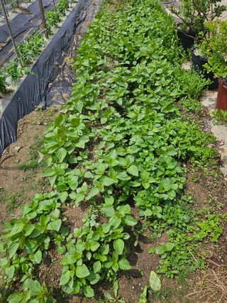 연승흠님의 자유주제 · 자유게시판 작성글 사진