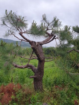 알 수 없음님의 자유주제 · 사진전 작성글 사진