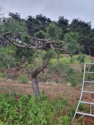 알 수 없음님의 자유주제 · 사진전 작성글 사진