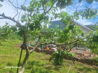 이홍석님의 자유주제 · 자유게시판 작성글 사진