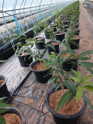 프리맨농부님의 자유주제 · 자유게시판 작성글 사진