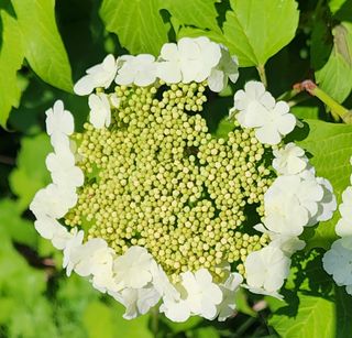 고추건조기부품판매님의 자유주제 · 자유게시판 작성글 사진